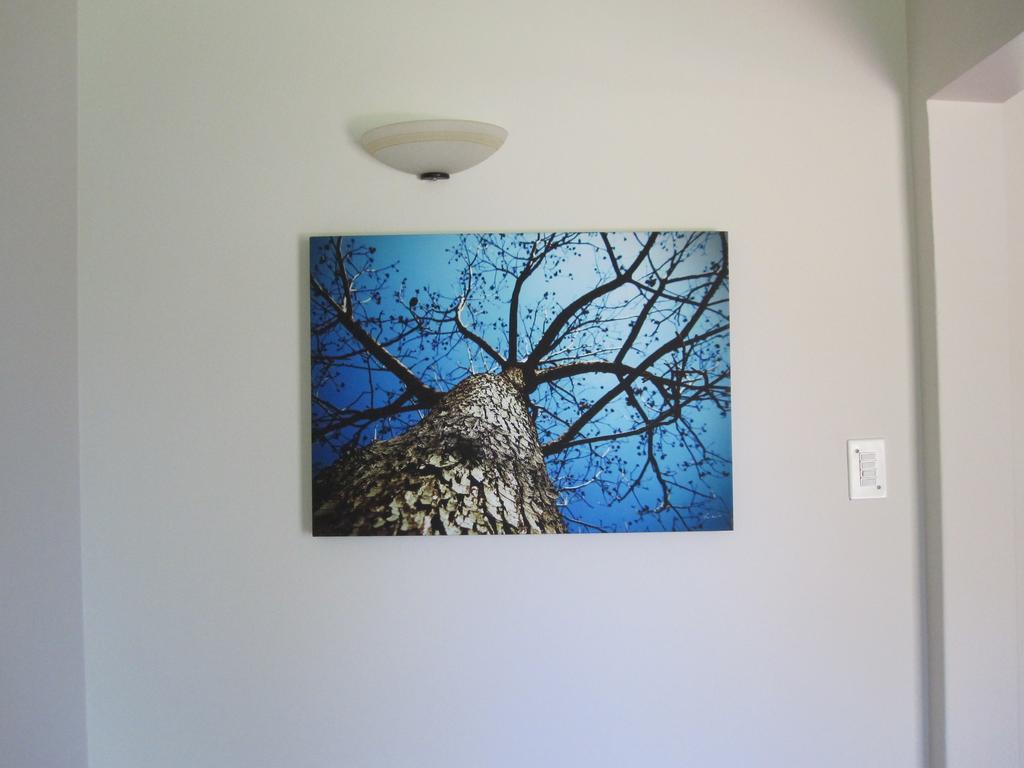 The Pecan Tree Guesthouse Сандтън Екстериор снимка